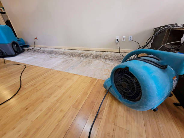 Professional Structural Drying technician working in Hooksett, NH